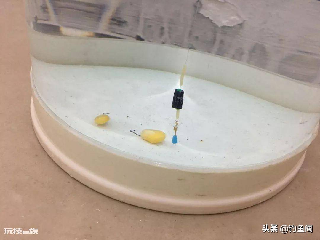 钓大鱼怎么调漂教程(夏天钓大鱼怎么调漂最简单又实用 )-图片6